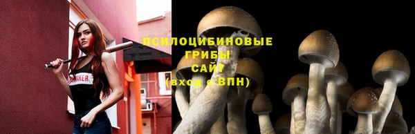 мяу мяу кристалл Новозыбков