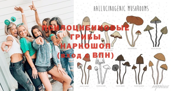 мяу мяу кристалл Новозыбков