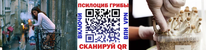 Псилоцибиновые грибы ЛСД  купить  сайты  Морозовск 