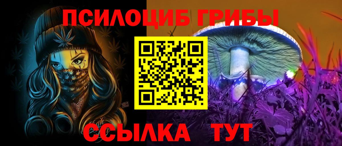 Псилоцибиновые грибы Psilocybine cubensis  Вход с VPN  где купить   Морозовск 