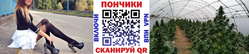 купить наркоту  Морозовск  Канабис гибрид 